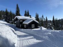BJØNNLISKARET 13