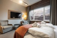 Skarsnuten Hotell Double Room Mountain View