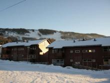 HAFJELL ALPINLANDSBY 61
