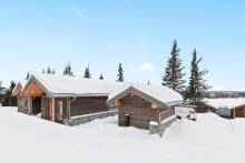 SVARTSKARDVEGEN 428