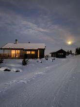 Kronrøysa 48