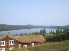 Trekanten 36