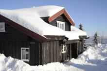 BJØNNHIET SKURUFJELLET TFSK1143