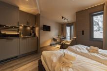 SkiStar Lodge Hemsedal Studio 207 Mountain View