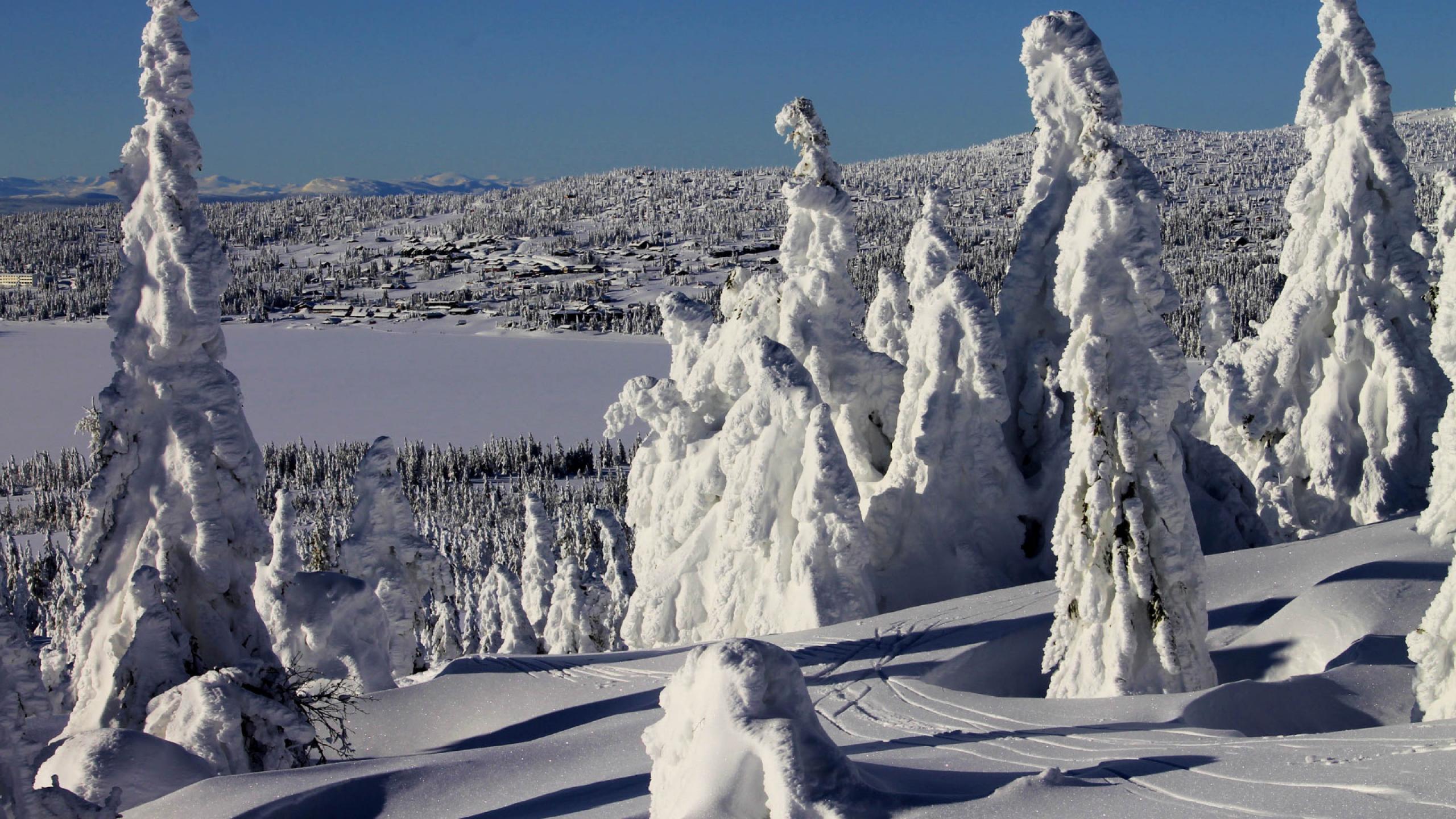 Skiurlaub im Skigebiet Sjusjøen Skifahren mit skiundmehr.de